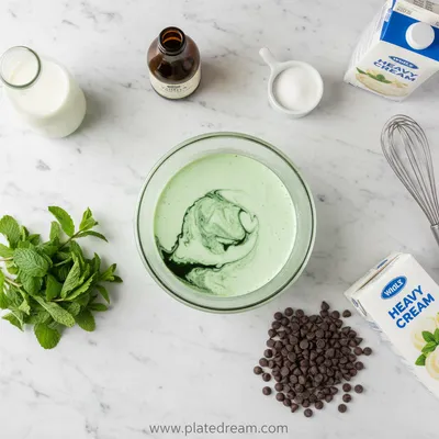 Thin Mint Ice Cream – Ninja Creami Recipe - cooking process